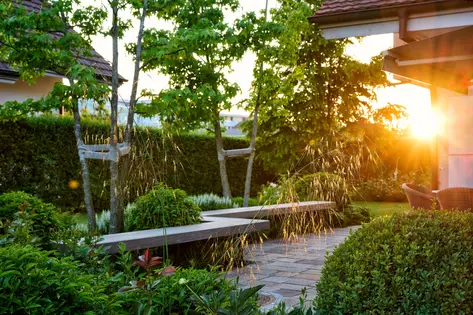 Staudenband mit Hortensien und Gräsern