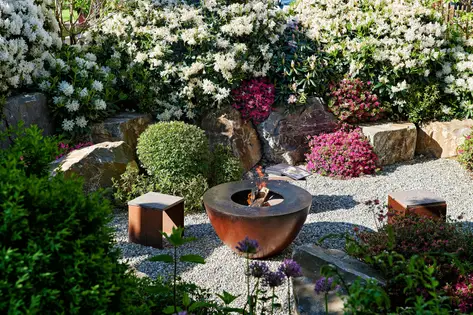 Japanischer Ahorn im Abendlicht