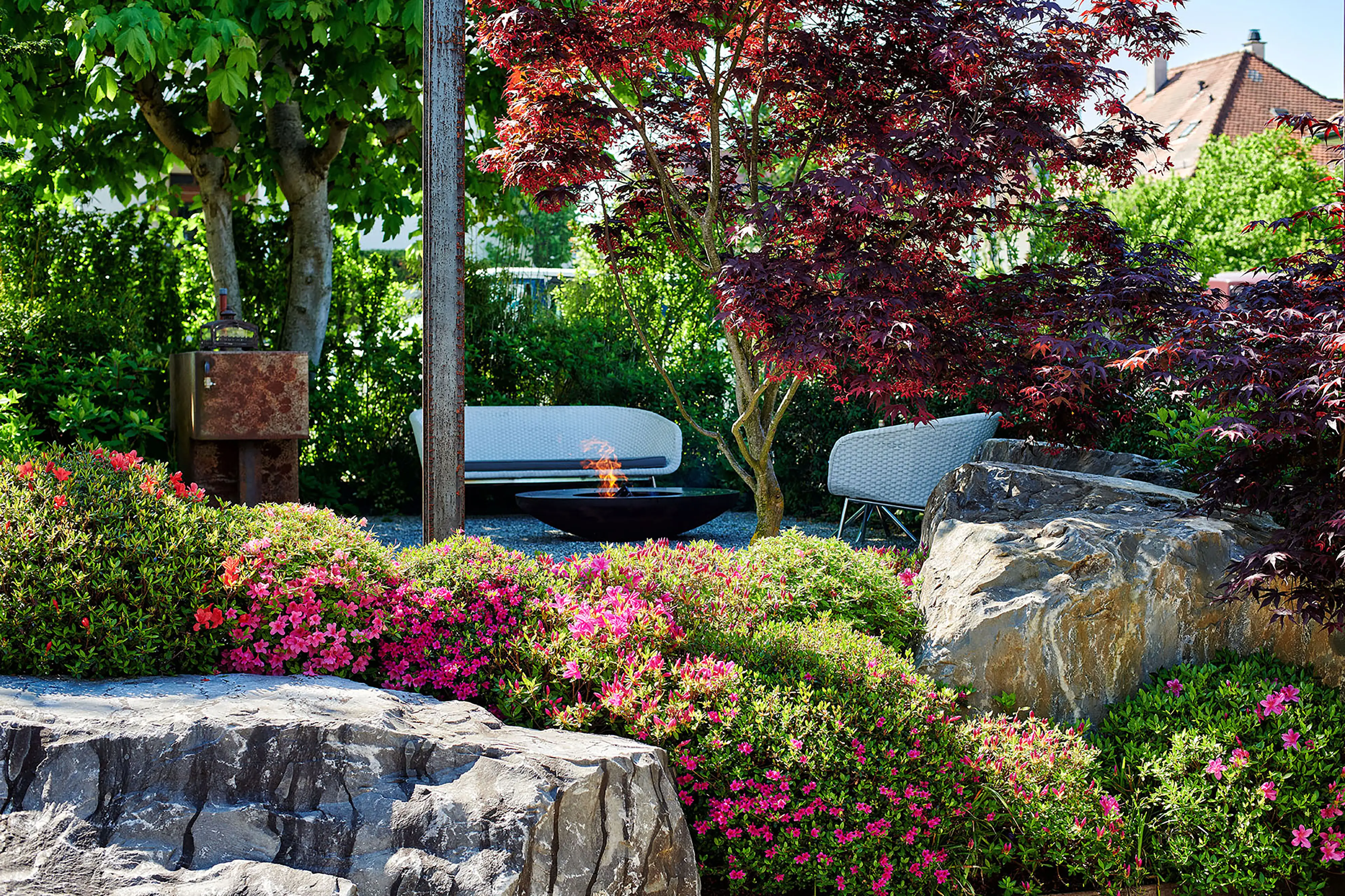 Mehrstämmige Japanische Ahorne fassen das Holzdeck ein.