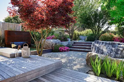 Mehrstämmige Japanische Ahorne