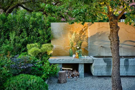 Japanischer Ahorn im Abendlicht